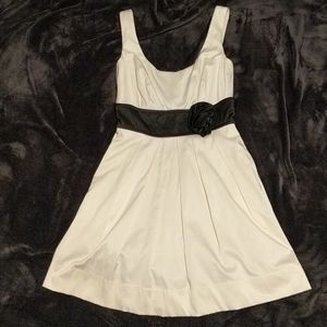 Black Rose and Ivory Social Dress